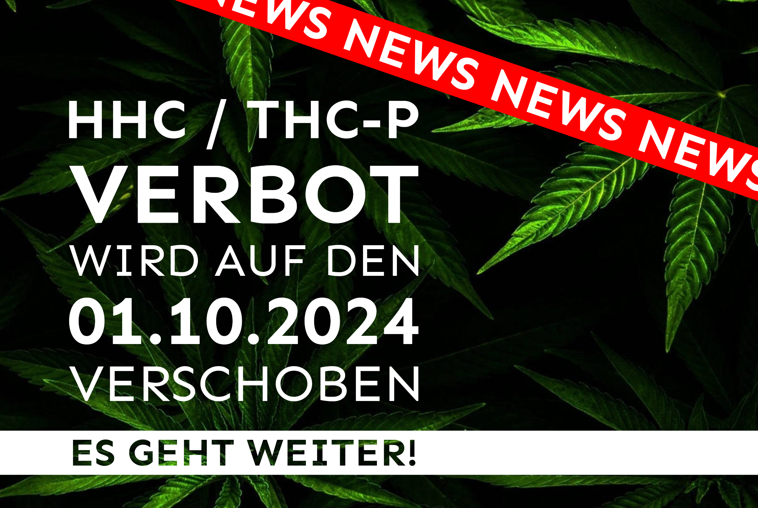 hhc-thcp_news-4