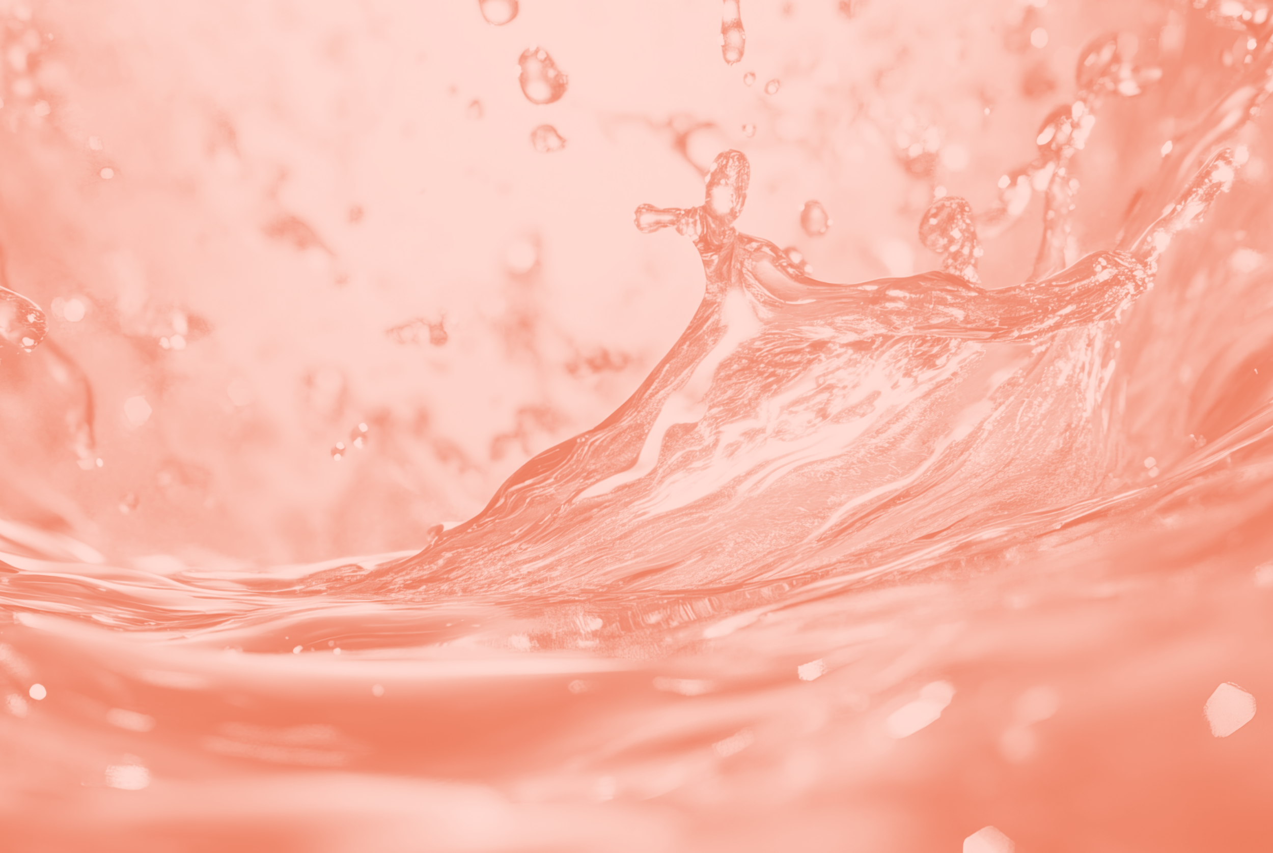 ags-web_banner-drinks